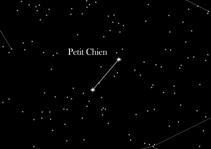 petit chien constellation